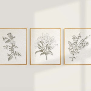 Vintage Botanical Prints, Modern Farmhouse Wall Art, Sepia Brown Botanical,  Jasmine Prints, Floral, Wall Art, Set of 3 Prints Custom Colors