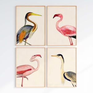 four framed artworks depicting different types of birds, including flamingos and herons.