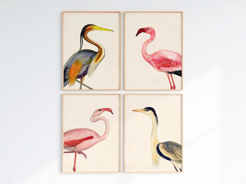 four framed artworks depicting different types of birds, including flamingos and herons.