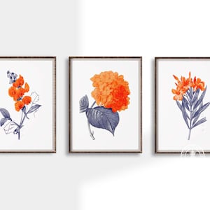 Chinoiserie Botanical Prints: Navy & Orange Floral Wall Art