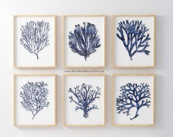 Seaweed Prints, Indigo Coral, Blue White Wall Art, Coastal Bedroom, Nautical Home Decor, Algae Coral Print, Set of 6, Nautical Bedroom Art