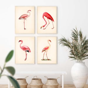 Flamingo Prints Set: Chinoiserie Chic, Tropical Wall Art image 2