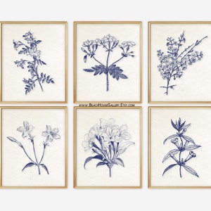 Blue Botanical Prints, Blue Wall Art, Vintage Botanical Prints, Custom Botanical Plates, Jasmine Prints, Wall Art for Above Couch, Set of 6