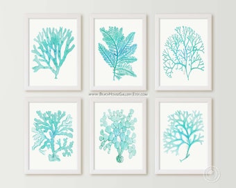 Turquoise Bathroom Art, Mint Green Coral Prints, Coastal Decor, Beach House Gallery, Aqua WallArt, Ocean Decor, Nautical Art, Mint Bedroom