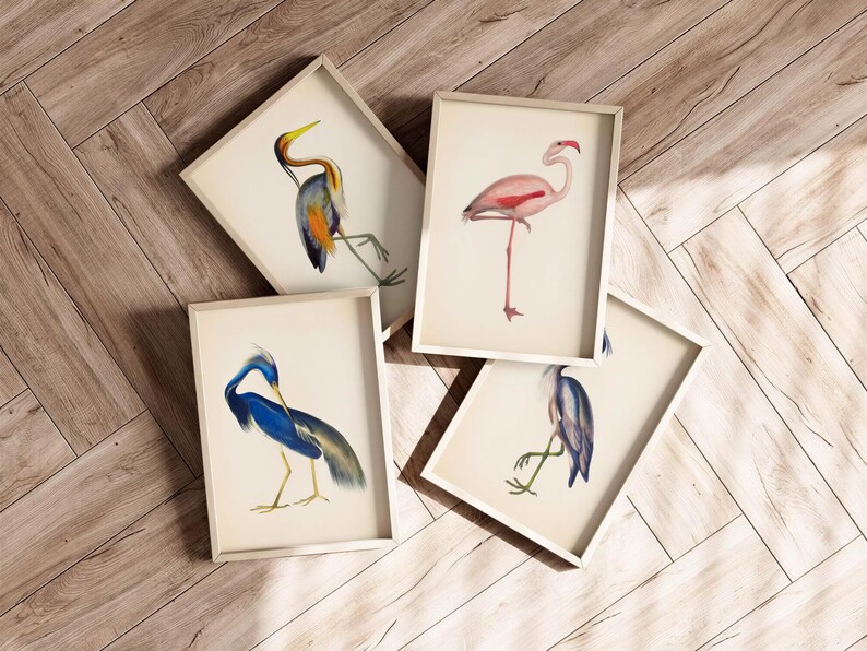 four framed pictures of different types of birds, including a heron, a flamingo, and two other bird species, all displayed on a wooden floor.