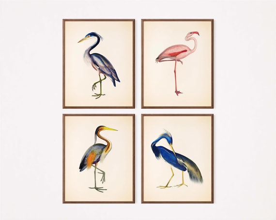 Tropical Bird Prints, Coastal Flamingo Heron Wall Decor | Matte Fine Art Paper | Set Of Four, Multiple Sizes