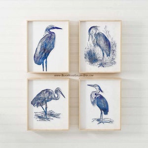 Blue Heron Art, Tropical Bird Prints, Water Birds, Nautical Art, Coastal Birds, Blue White Wall Art, Art for Beach House