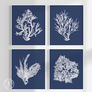 Navy Blue Coral Prints Set: Coastal Nautical Wall Art