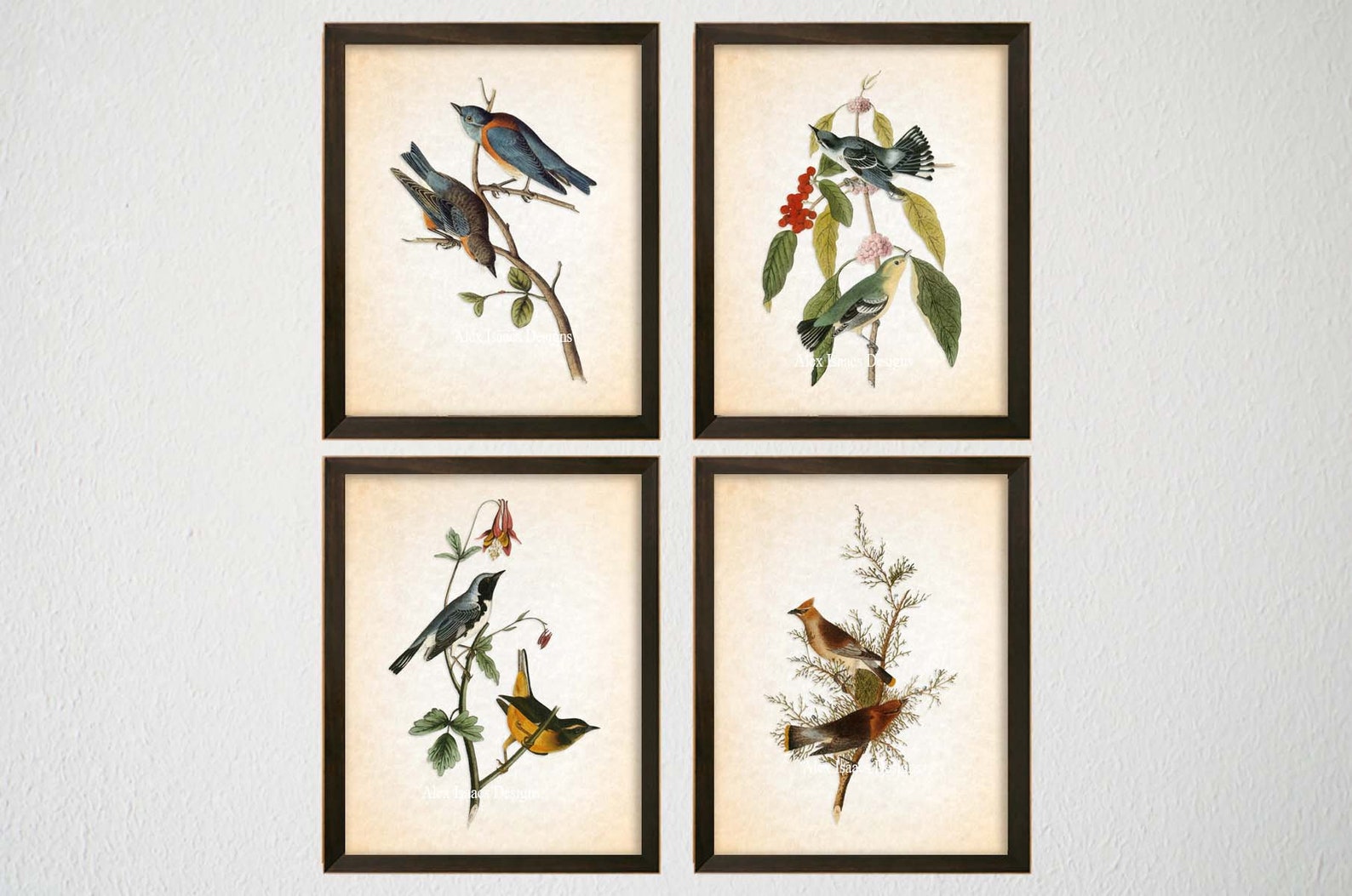 Birds and Flowers Prints Vintage Bird Prints Modern Etsy