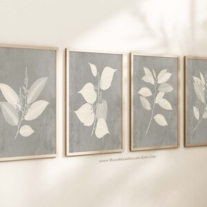 Gray Botanical Prints Set: Modern Farmhouse Wall Art - Etsy
