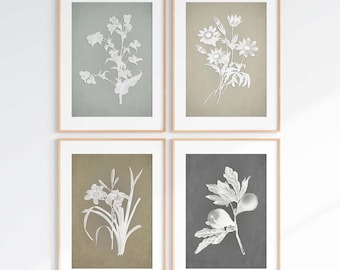 Muted Botanical Wall Art Set of 4 | Neutral Floral Prints | Vintage Style Gallery Wall