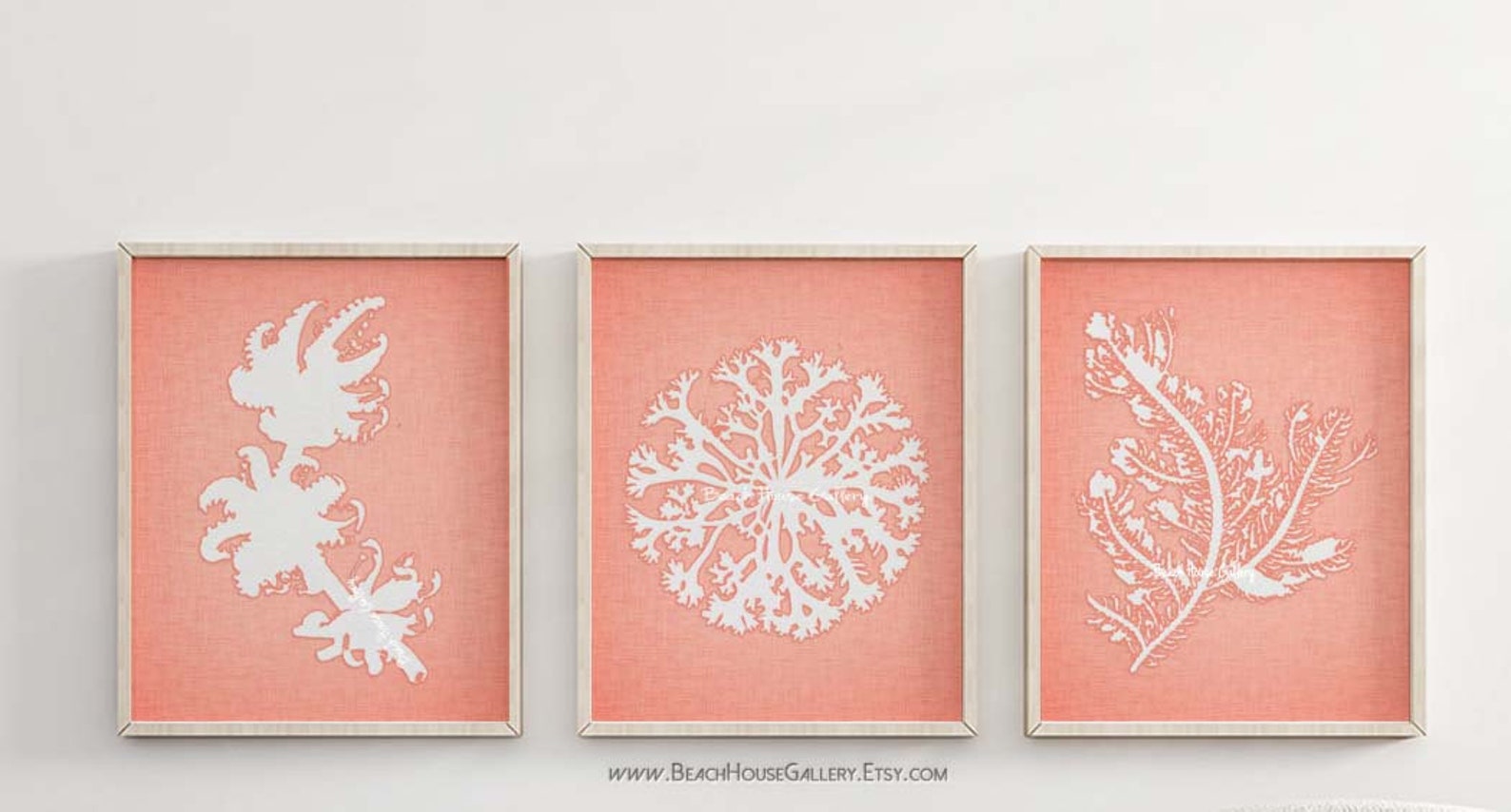 White Coral Wall Art White Coral Sea Coral Coral Wall Art Etsy