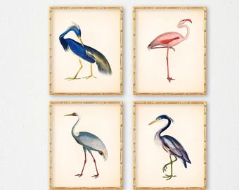 Tropical Bird Prints Set: Chinoiserie Chic, Beach House Wall Art