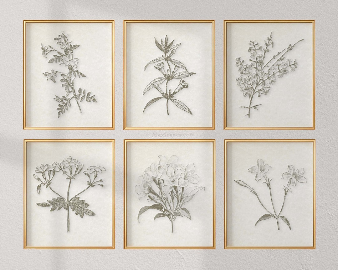Vintage Botanical Prints, Modern Farmhouse Wall Art, Sepia Brown
