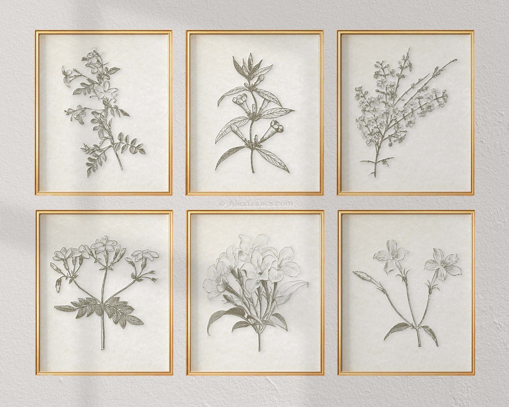 Vintage Botanical Prints Modern Farmhouse Wall Art Sepia