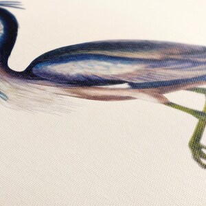 A close-up of a blue heron with its long neck and legs, captured in a detailed and realistic manner.