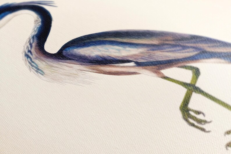 A close-up of a blue heron with its long neck and legs, captured in a detailed and realistic manner.