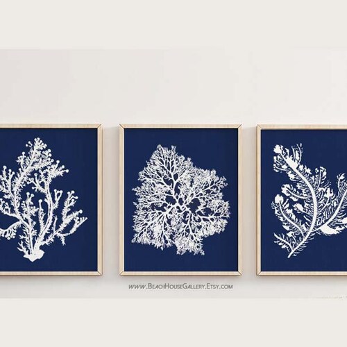 Blue Coral Wall Art Navy Blue Coral Print Navy White Wall Etsy