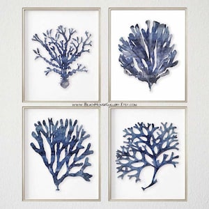 Indigo Coral Prints, Blue and White Hamptons Style Wall Art, Coastal Bedroom, Nautical Bedroom Art, Large Coral prints
