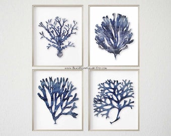 Indigo Coral Prints, Blue and White Hamptons Style Wall Art, Coastal Bedroom, Nautical Bedroom Art, Large Coral prints