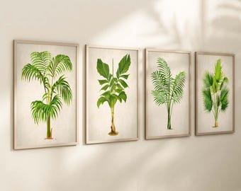 Palm Tree Art Prints: Vintage Botanical Tropical Decor (Set of 4)