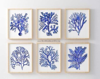 Cobalt Blue Wall Art, Blue Sea Coral Prints, Beach House Gallery Wall Art, Cobalt Blue Bathroom Art, Blue Bedroom Art, Modern Nautical Decor