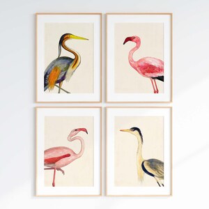 Coastal Bird Print Set of 4, Flamingo Heron Wall Art, Florida Beach House Decor image 5
