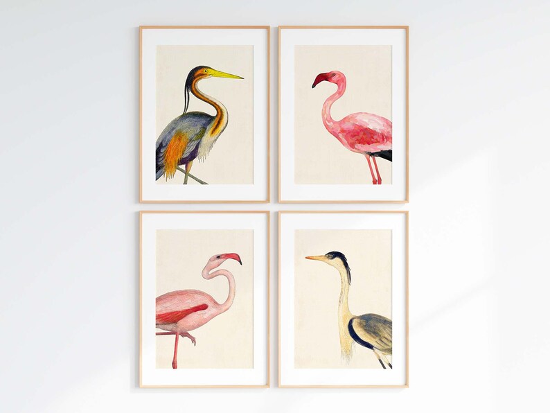 Coastal Bird Print Set of 4, Flamingo Heron Wall Art, Florida Beach House Decor image 5