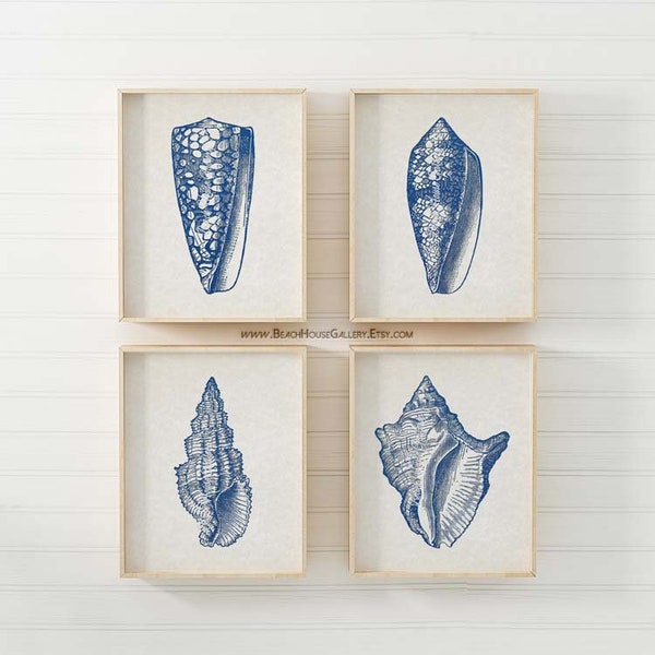 Seashell Art, Blue Seashell Prints, Antique Seashell Illustrations, Seashells, Seashell Print Set, Blue White