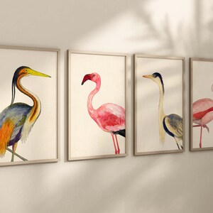 Coastal Bird Print Set of 4, Flamingo Heron Wall Art, Florida Beach House Decor image 2