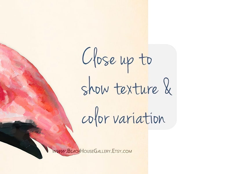 May include: Close-up of a pink flamingo painting with brushstrokes showing texture and color variation. The text "Close up to show texture & color variation" is visible in the image.