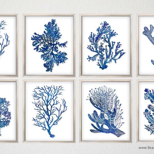 Blue Sea Coral Art Nautical Art Print Set Old Prints Ocean Etsy