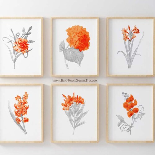 Gray Orange Art Set of Six Orange Botanical Prints Etsy