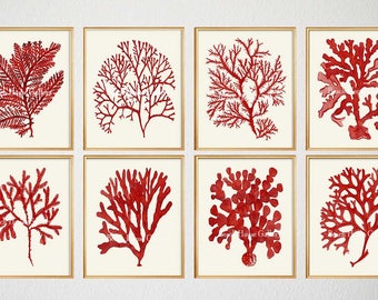 Beach House Christmas Decor, Red Coral Prints, Red Sea Coral Art Prints, Beach House Art, Fan Coral, Red Coral Art, Coastal Christmas Decor