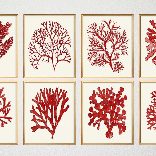 Beach House Christmas Decor, Red Coral Prints, Red Sea Coral Art Prints, Beach House Art, Fan Coral, Red Coral Art, Coastal Christmas Decor