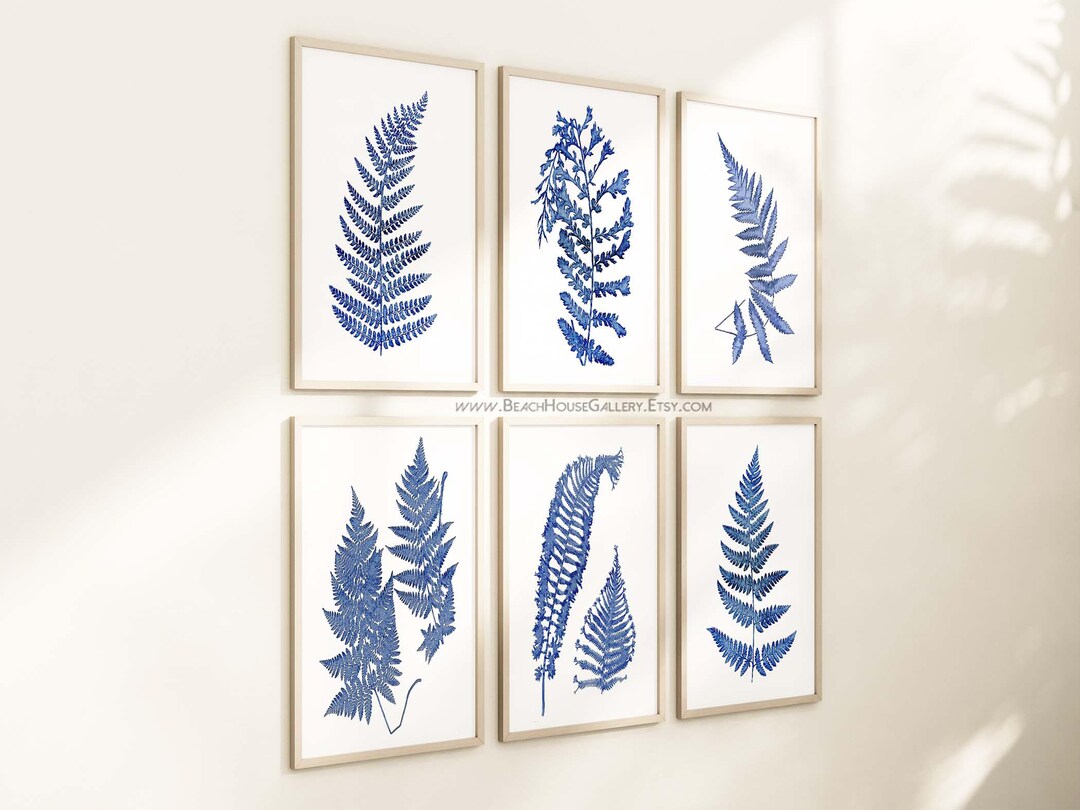 Cyanotype Fern Prints, Set of Six Fern Prints, Indigo Blue Botanical ...