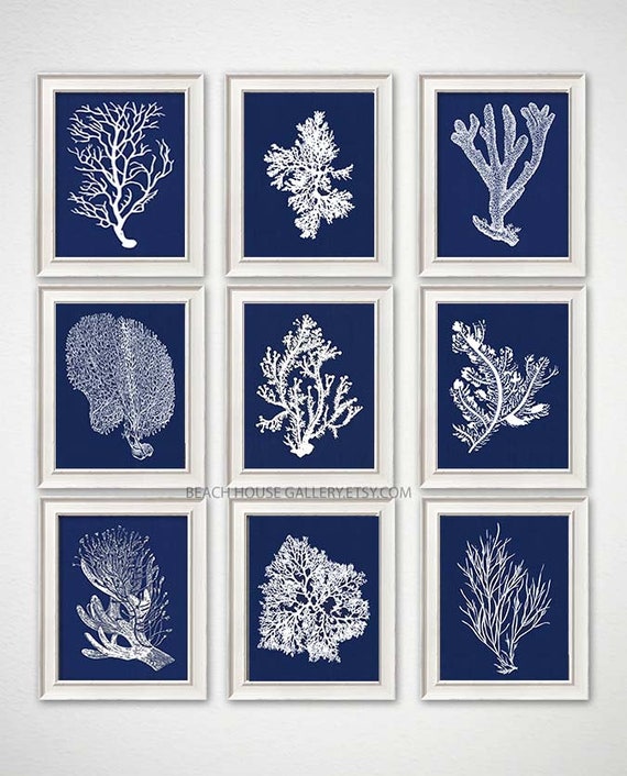 White Coral On Navy Nautical Decor Navy And White Sea Coral Prints Set Of 9 Prints Navy Blue Bedroom Art Beach House Gallery Wall