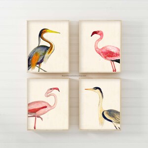 Coastal Bird Print Set of 4, Flamingo Heron Wall Art, Florida Beach House Decor image 11