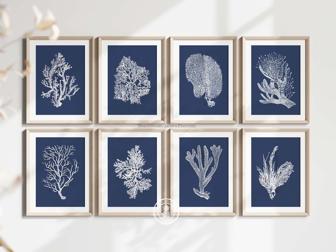 White Coral on Navy, Nautical Decor, Navy and White Sea Coral Prints ...