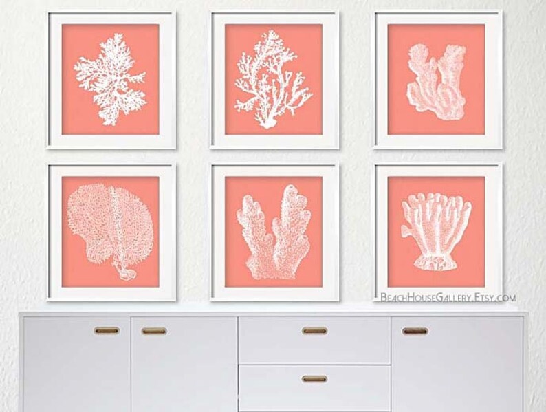 Ensemble De Six Corail Imprime Blanc Corail Blanc Corail Etsy