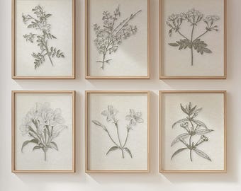 Vintage Sepia Botanical Sketch Prints: Farmhouse Jasmine Wall Art, Set of 6