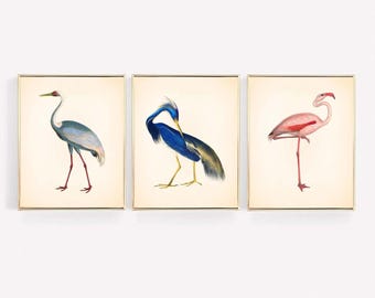 Florida Bird Prints: Crane, Heron, Flamingo Tropical Wall Art