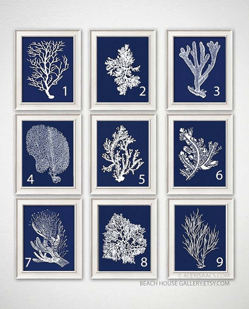 Blue Coral Wall Art Navy Blue Coral Print Navy White Wall Etsy