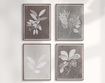 Neutral Botanical Prints: Greige Farmhouse Wall Art Set