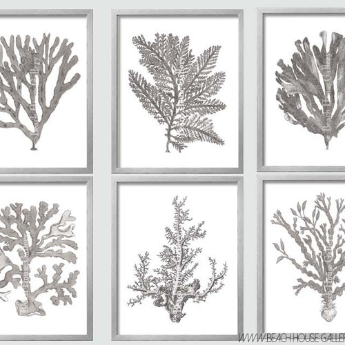 Greige Wall Art Gray Sea Coral Print Set of Six Coral Wall Etsy