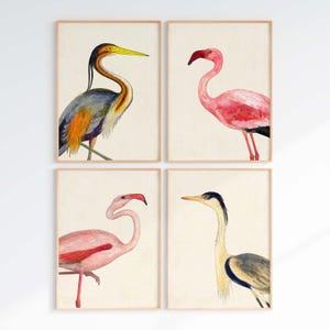 Coastal Bird Print Set of 4, Flamingo Heron Wall Art, Florida Beach House Decor image 1