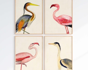 Coastal Bird Print Set of 4, Flamingo Heron Wall Art, Florida Beach House Decor