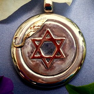 Star of David pendant,  gold Star of David, gold Olive leaf, sterling silver. Pendant alone