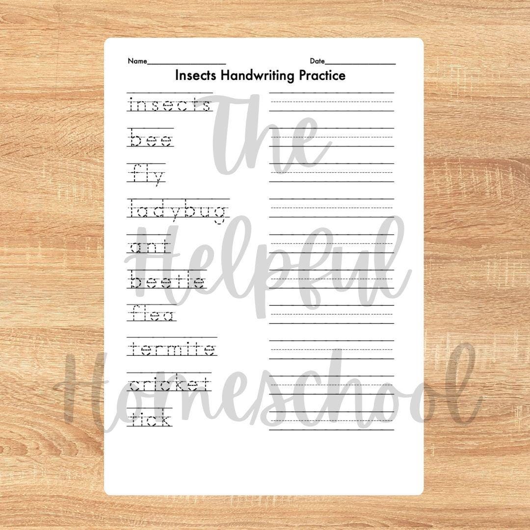 Early Elementary Handwriting Practice Worksheets/insects Handwriting ...