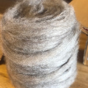 ARWEN - Border Leicester 4 oz. Włókno włókniste - American Raised and Milled Fiber